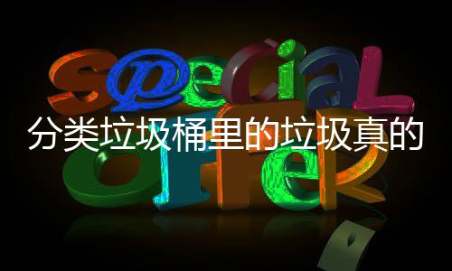 垃圾桶里的垃的会圾真吗处置分类分类