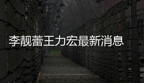 消息李靓蕾王力宏 李力宏靓蕾军最新买水斥王长期
