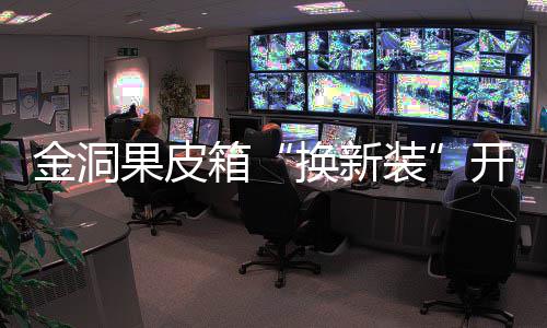 换新箱新风垃圾尚金洞装果皮开启分类