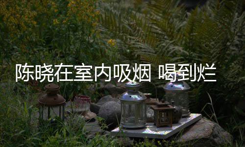 喝到内吸烂醉被人架走在室如泥烟 陈晓