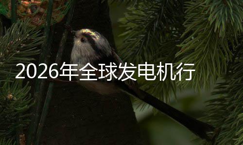 年全内外行业先企领电机市场市场及排规模名业国球发份额